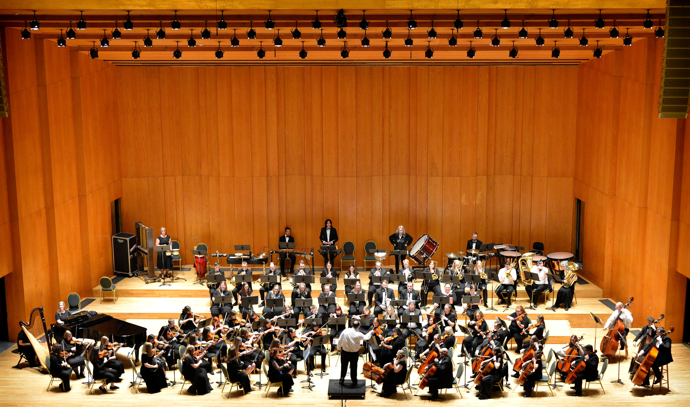 Skyward Symphony musicians in performance